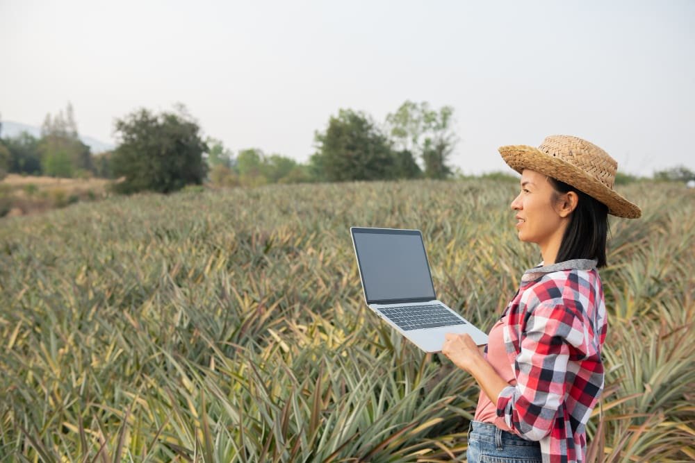 Produtora rural consulta informações no notebook em meio à lavoura