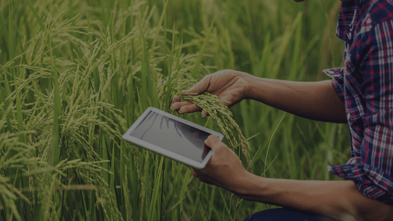 Imagem do quiz: O quanto você realmente sabe sobre Agricultura 4.0?
