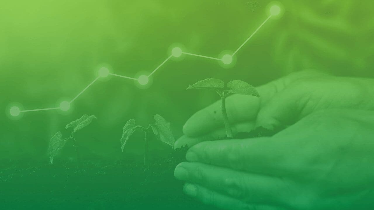O quanto você realmente sabe sobre mudanças climáticas e mercado de carbono?