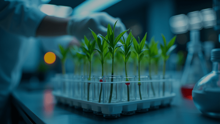 SolloQuiz - Fundo Imagem do quiz: O que você realmente sabe sobre Melhoramento genético em plantas?