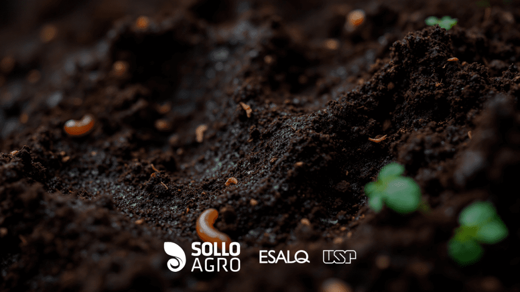 Influência das mudanças climáticas na microbiota do solo (1) Imagem: Influência das mudanças climáticas na microbiota do solo