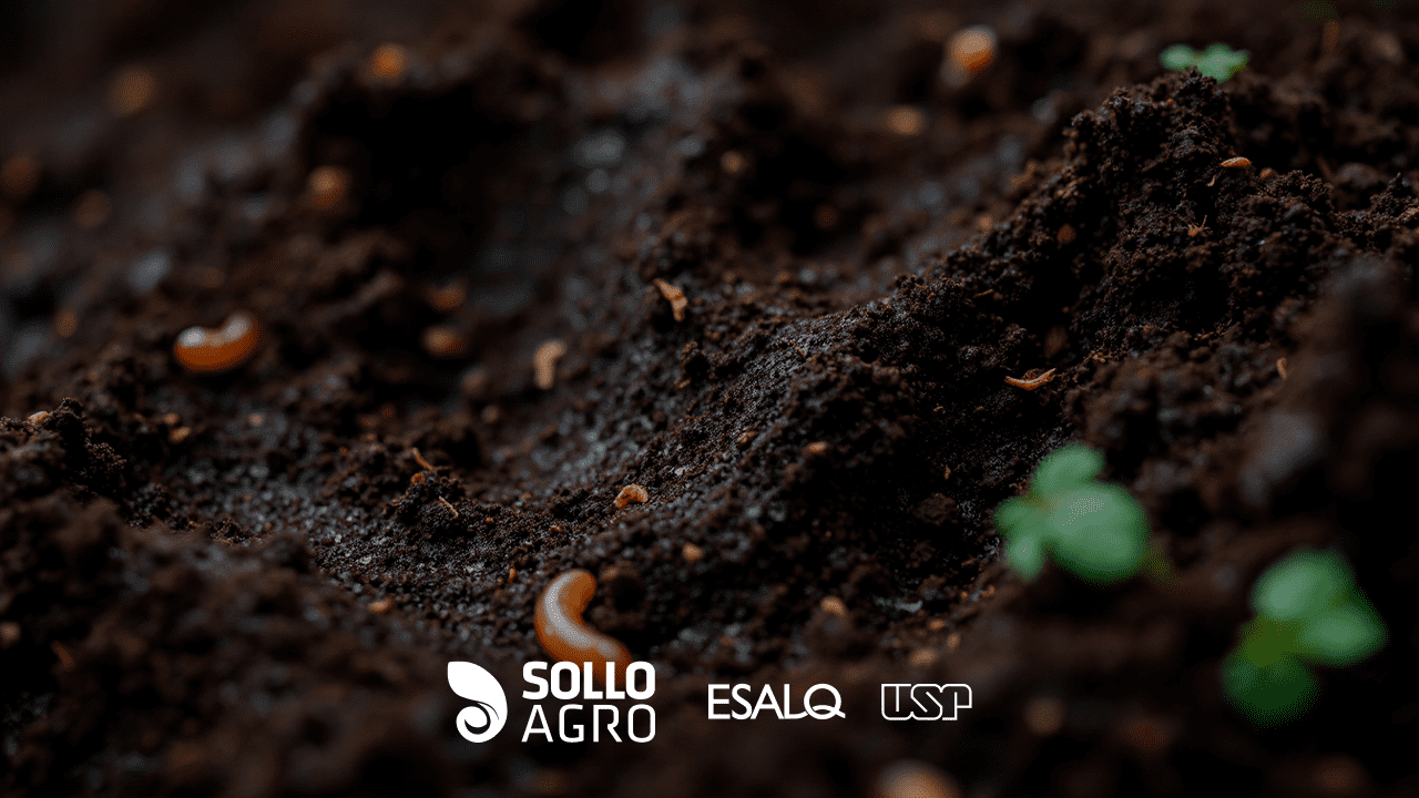Influência das mudanças climáticas na microbiota do solo (1) Influência das mudanças climáticas na microbiota do solo