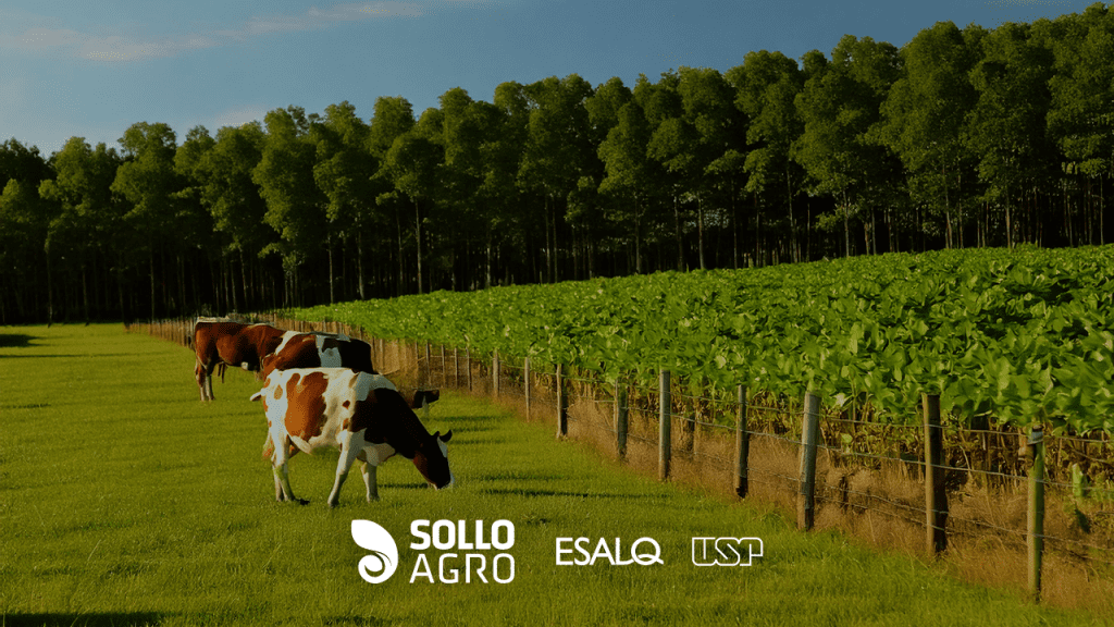 Pesquisa_realizada_na_ESALQ.USP_-_Qualidade_de_solo_em_sistemas_de_integracao Imagem: Pesquisa realizada na ESALQ/USP – Qualidade do solo em sistemas de integração