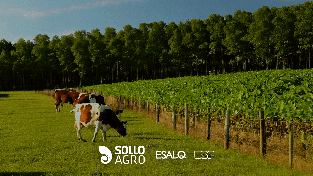 Pesquisa_realizada_na_ESALQ.USP_-_Qualidade_de_solo_em_sistemas_de_integracao Pesquisa realizada na ESALQ/USP – Qualidade do solo em sistemas de integração