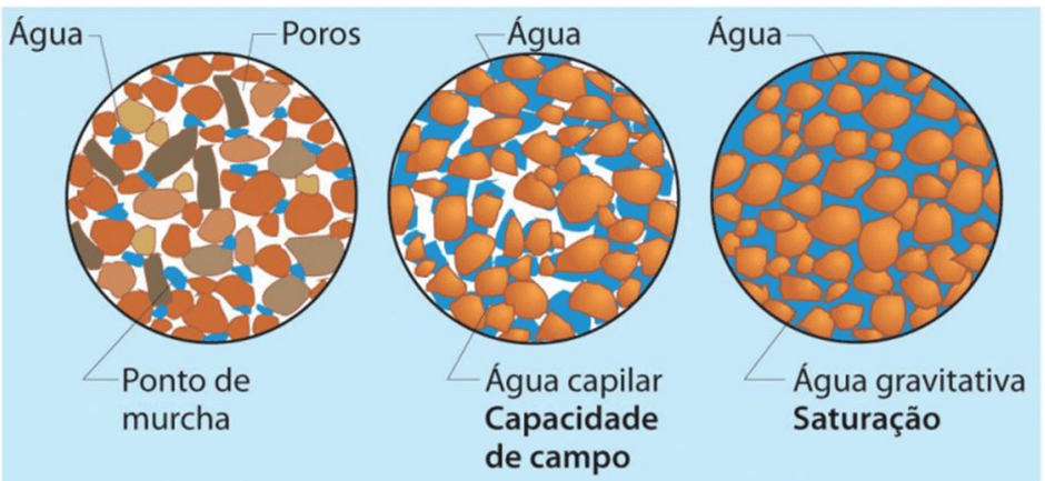 Imagem do artigo: Influência das mudanças climáticas na microbiota do solo (4)