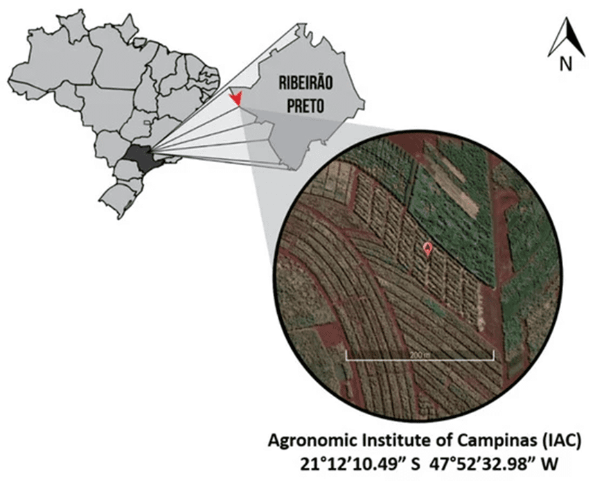 Imagem do artigo: Pesquisa realizada na ESALQ/USP - Qualidade e funcionamento de solos em cultivos de cana-de-açúcar