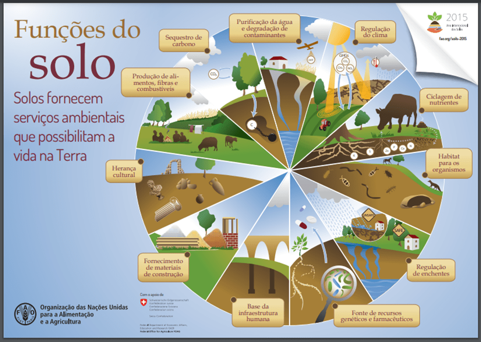 Imagem do artigo: Dia Mundial do Solo: Importância, Funções e Classificação