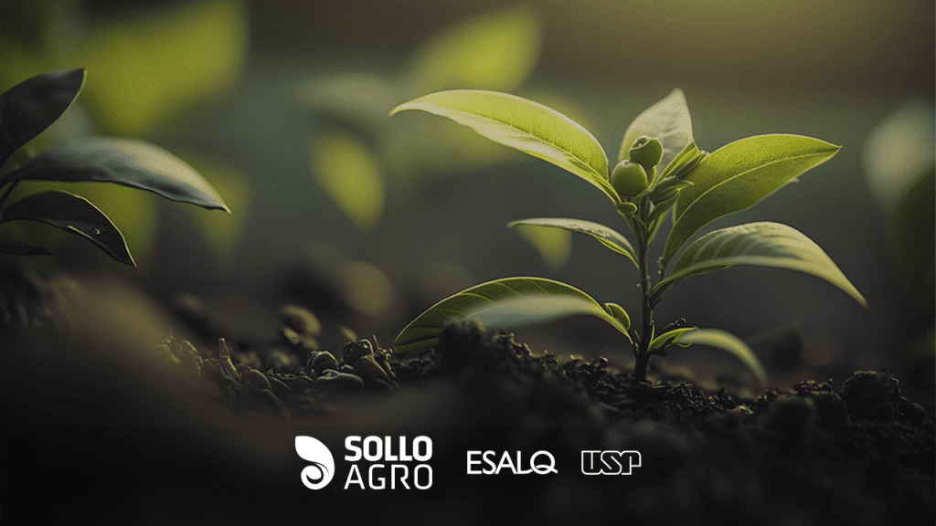 Imagem: Agricultura Regenerativa como Estratégia para o Sequestro de Carbono