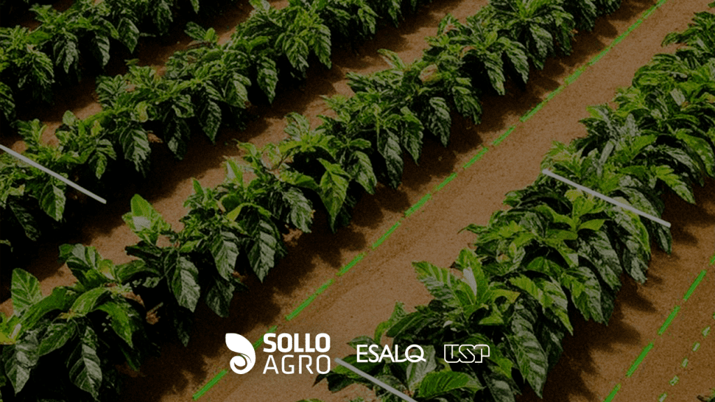 Estudo_de_caso_sobre_agricultura_de_precisao_em_talhoes_cafeeiros Imagem: Pesquisa realizada na ESALQ/USP – Estudo de caso sobre agricultura de precisão em talhões cafeeiros