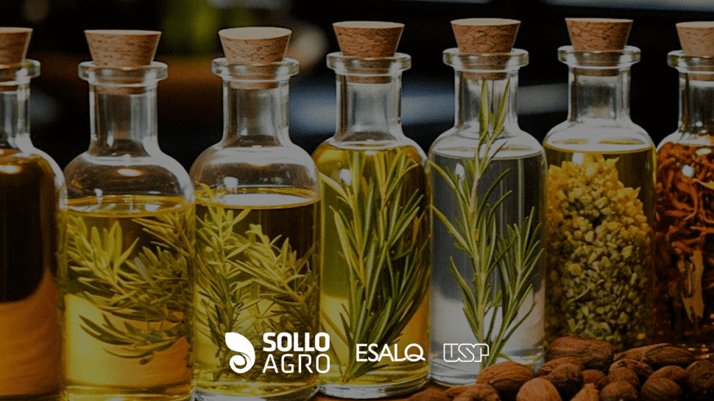Uso_de_oleos_essenciais_na_agricultura Imagem: Uso de óleos essenciais na agricultura