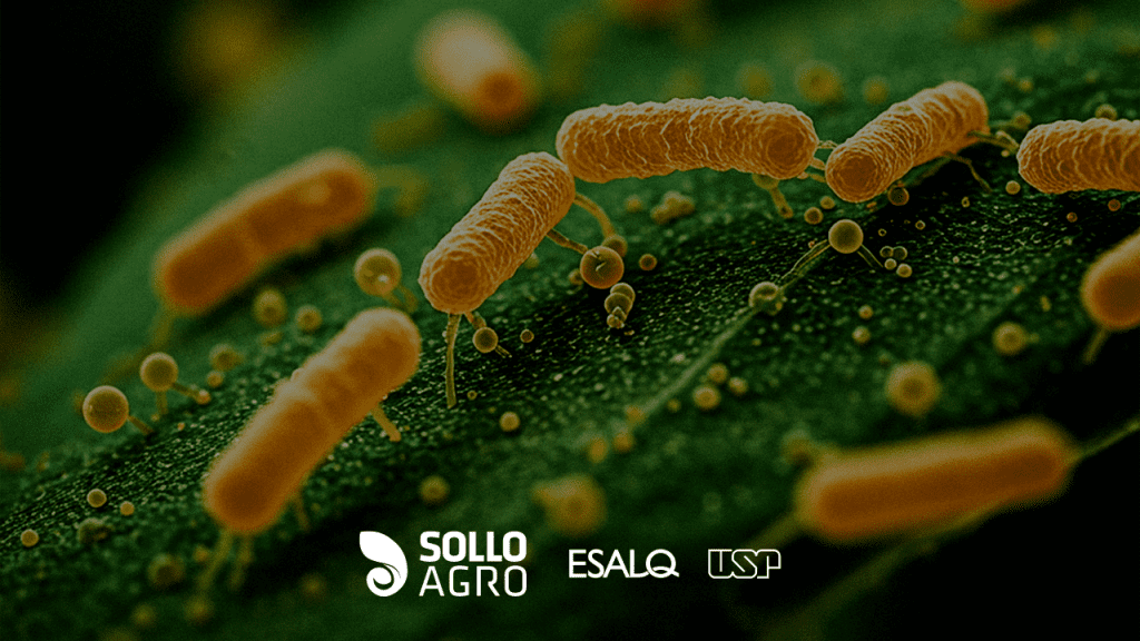 Bioinsumos_e_rentabilidade__Vale_a_pena_usar Imagem: Bioinsumos e rentabilidade: Vale a pena usar?