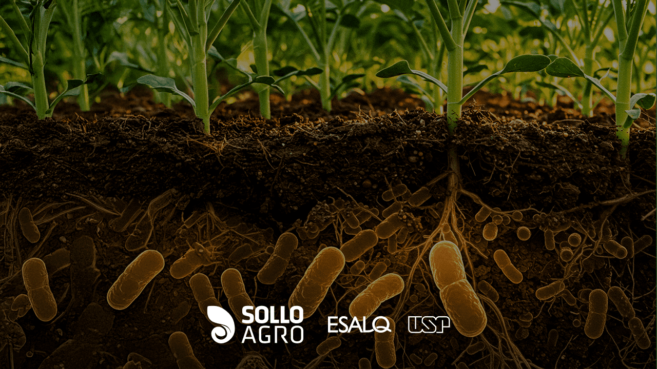 Uso_de_bacterias_na_agricultura Uso de bactérias na agricultura