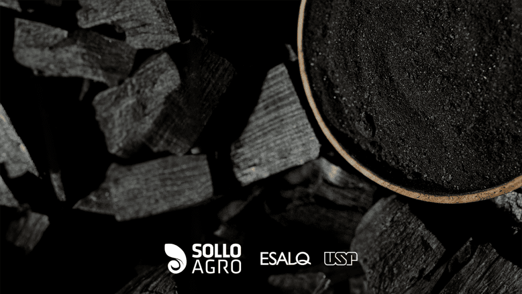 Mobilidade_e_estabilidade_termica_de_carbono_em_latossolo_condicionado_com_micro_e_nanobiocarvao Imagem: Bate-papo com nova geração de pesquisadores