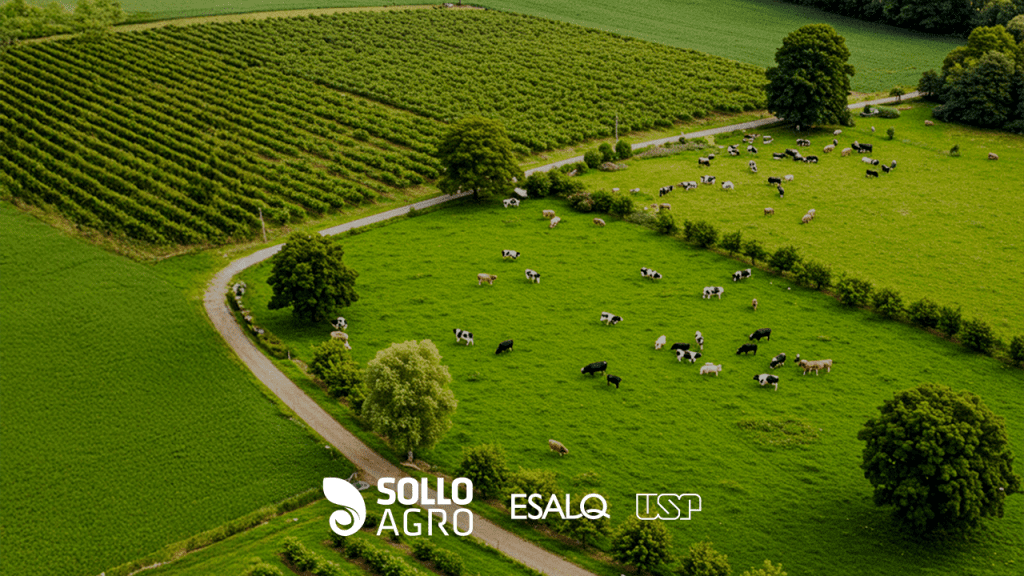 Balanco_de_Nutrientes_em_Sistemas_Integrados_de_Producao Imagem: Balanço de nutrientes em sistemas integrados: estratégias para sustentabilidade agrícola