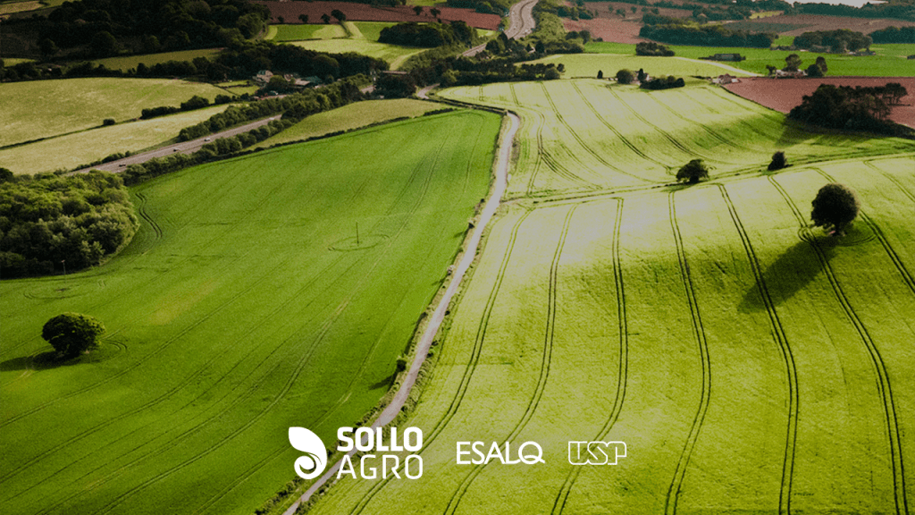 Campos_agricolas_dinamicas_e_transformacoes_no_setor_produtivo Imagem: Campos agrícolas: dinâmicas e transformações no setor produtivo