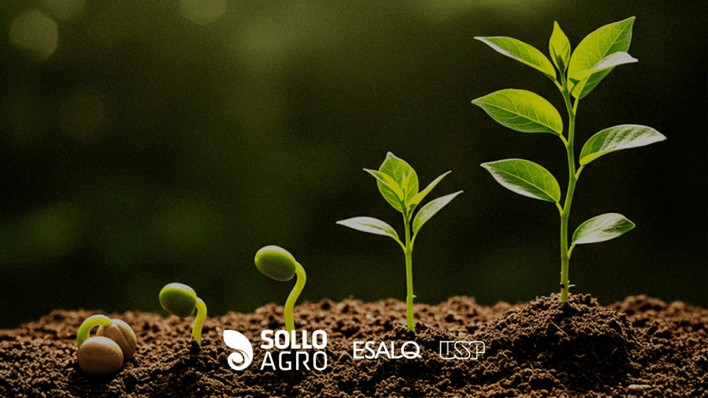 Fitormonios_o_que_sao_como_atuam_e_seu_potencial_no_manejo_agricola Imagem: Fitormônios: o que são, como atuam e seu potencial no manejo agrícola