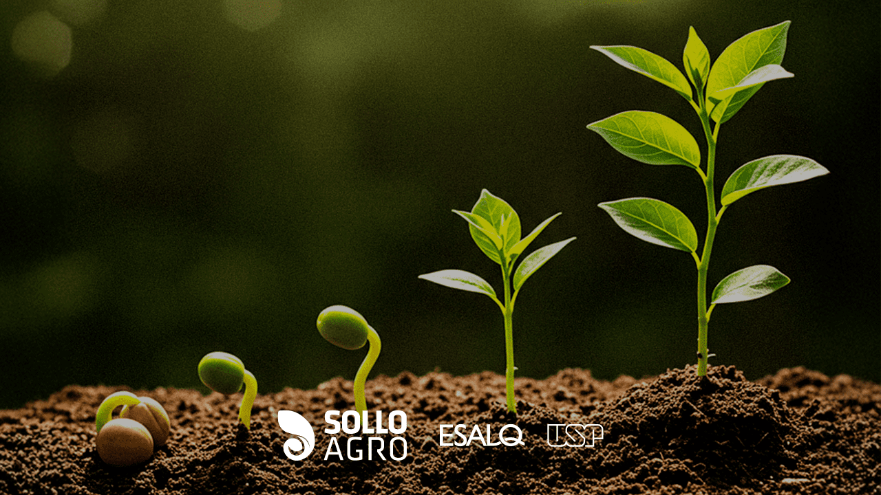 Fitormonios_o_que_sao_como_atuam_e_seu_potencial_no_manejo_agricola Fitormônios: o que são, como atuam e seu potencial no manejo agrícola