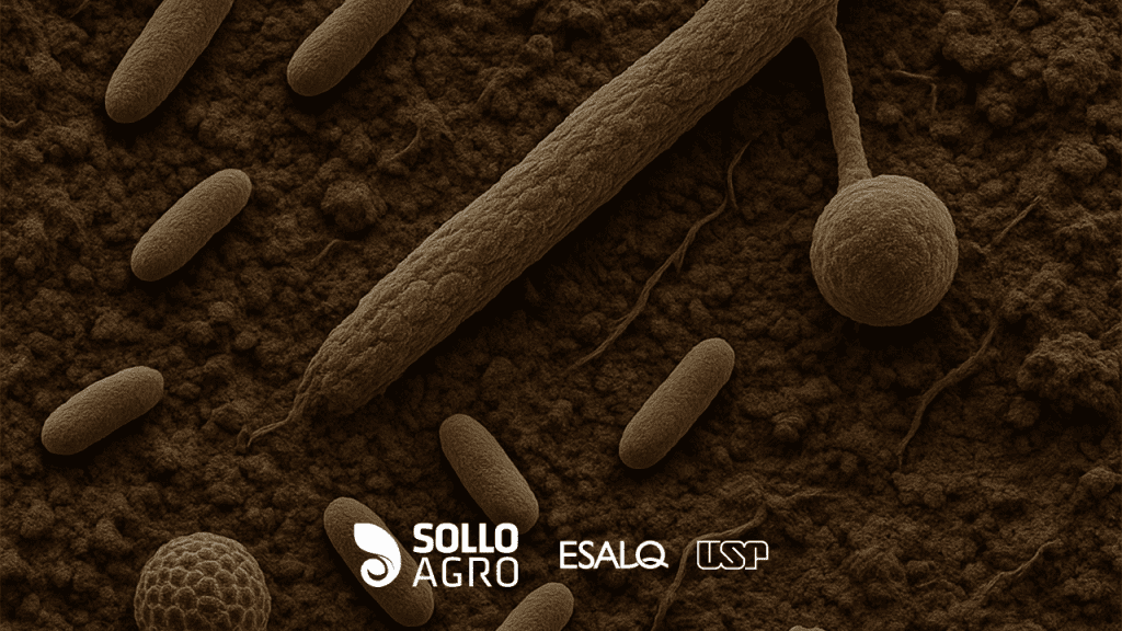 Rede_biologica_quem_vive_sob_o_solo Imagem: Rede biológica: quem vive sob o solo?