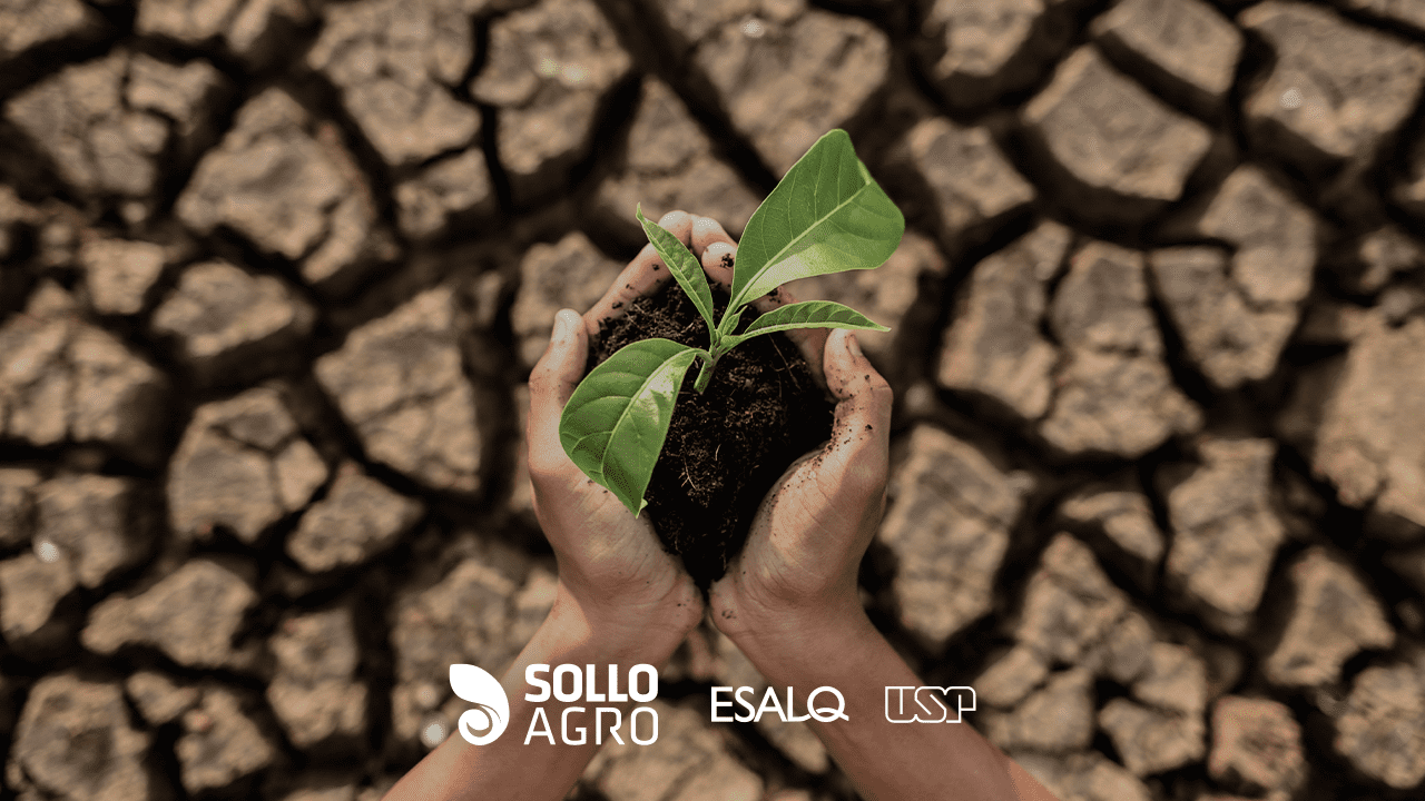 Clima_e_agricultura__como_se_adaptar_a_nova_realidade_climatica_no_campo Clima e agricultura: como se adaptar à nova realidade climática no campo
