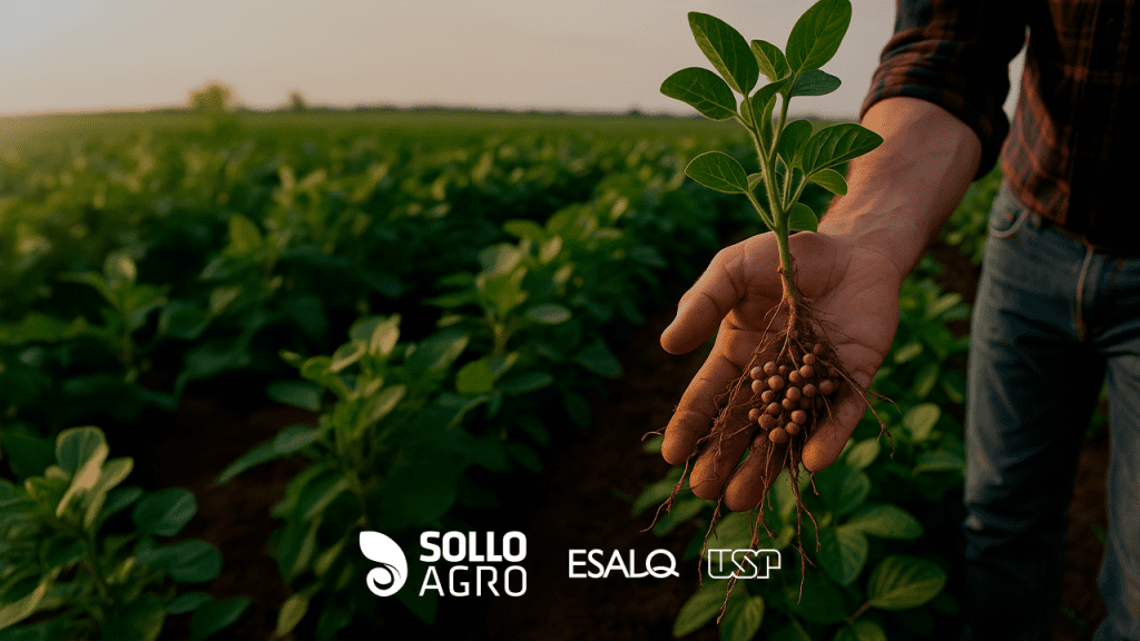 Fixacao_biologica_de_nitrogenio__a_tecnologia_invisivel_que_faz_o_Brasil_economizar_bilhoes_de_dolares Imagem: Fixação biológica de nitrogênio: a tecnologia invisível que faz o Brasil economizar bilhões de dólares