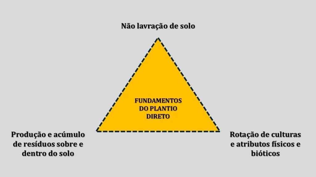 Imagem do artigo: História do plantio direto no Brasil (3)