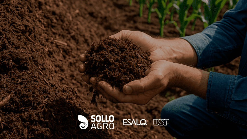 Novo substrato sustentável transforma resíduos em produtividade agrícola Imagem: Novo substrato sustentável transforma resíduos em produtividade agrícola