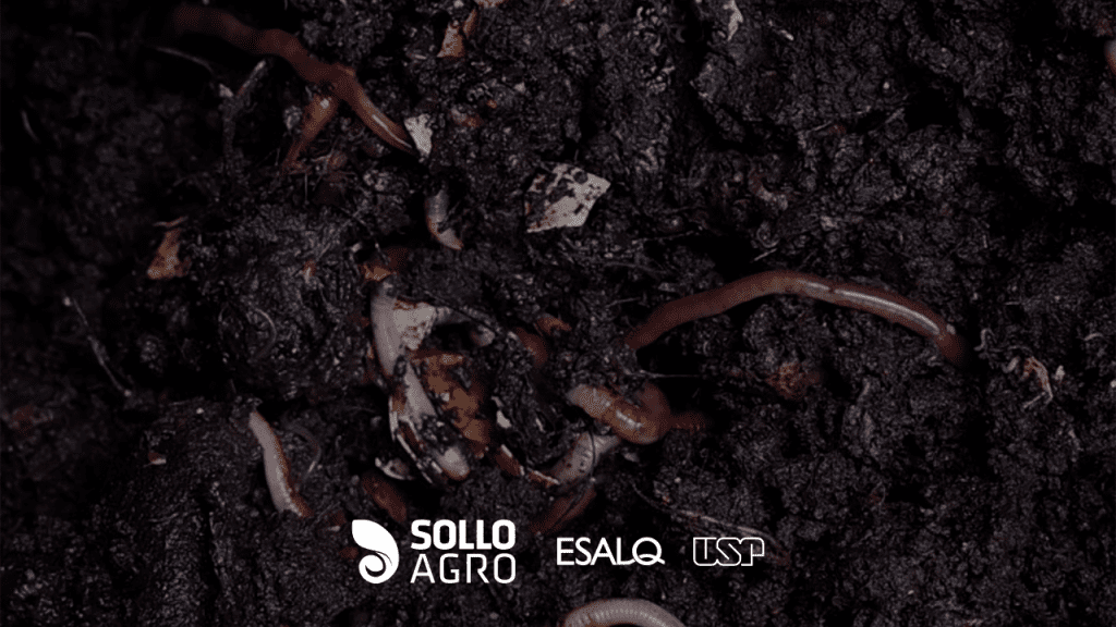 Funções do solo Imagem: Funções do solo e indicadores de qualidade: o que monitorar para aumentar a sustentabilidade agrícola