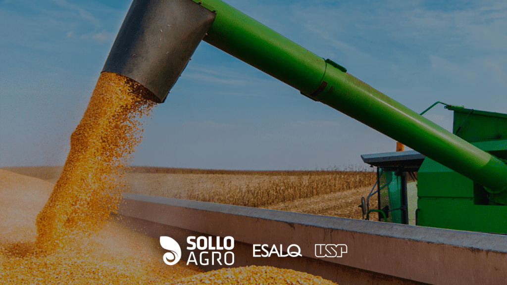 Safra 2026 como interpretar a queda prevista e transformar desafios em decisões técnicas no campo Imagem: Safra 2026: como interpretar a queda prevista e transformar desafios em decisões técnicas no campo