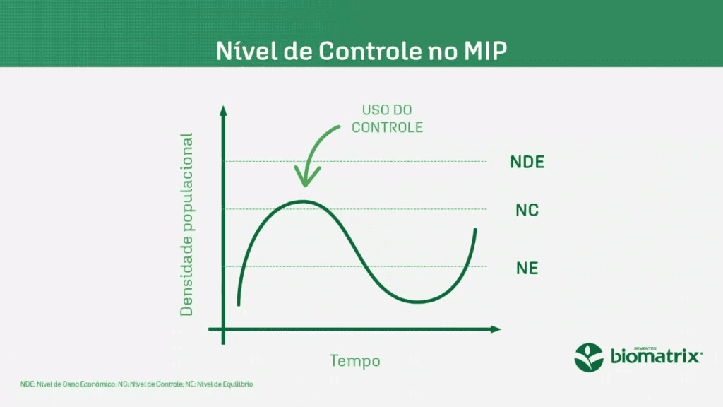 Imagem do artigo: Fitossanidade inteligente: como blindar sua lavoura (4)