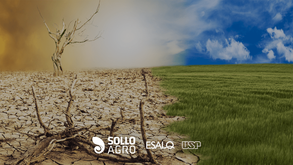 Imagem: O papel do solo na regulação do climática