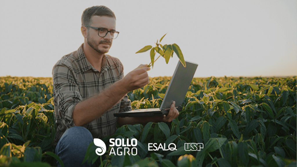 Imagem: Inteligência artificial no campo: o que você precisa saber