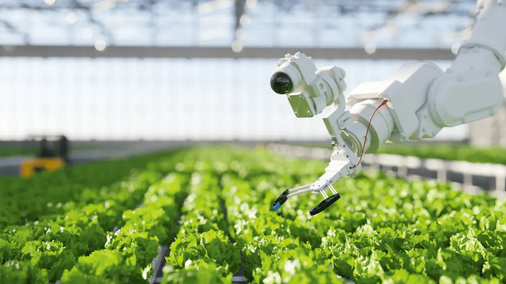 Imagem do artigo: Inteligência artificial no campo: o que você precisa saber