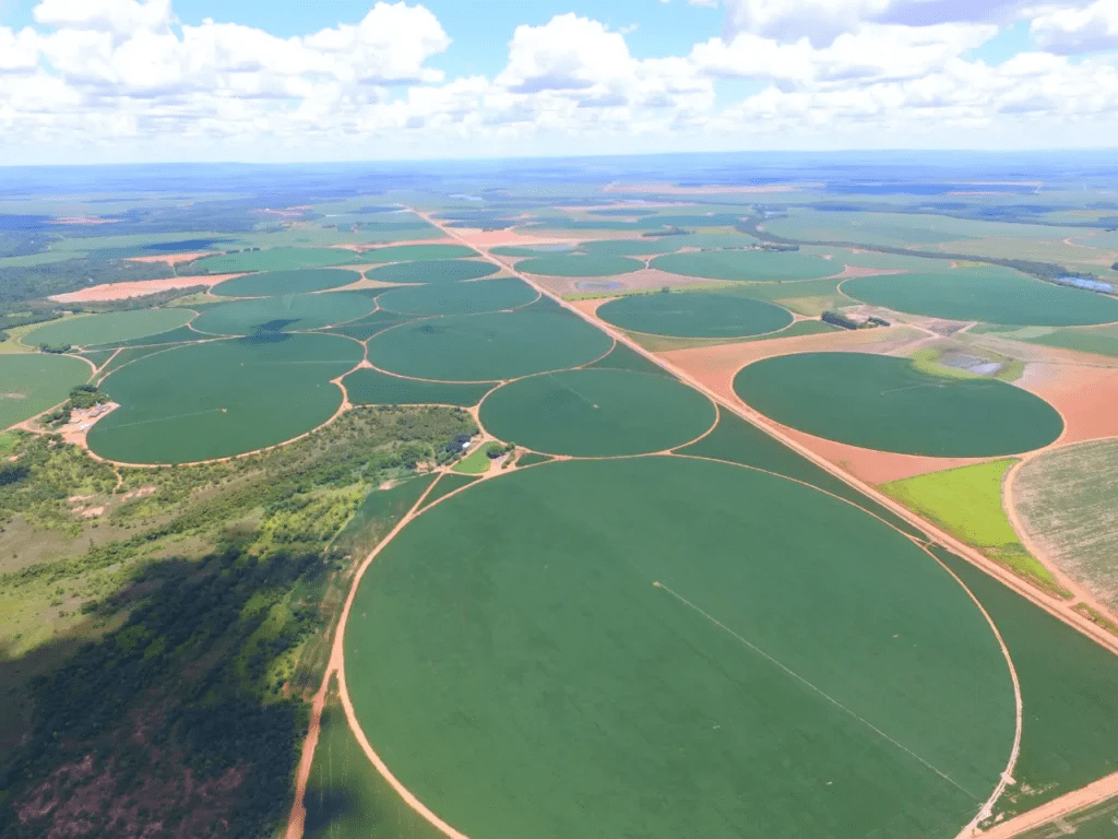 Imagem do artigo: Inteligência artificial no campo: o que você precisa saber (5)
