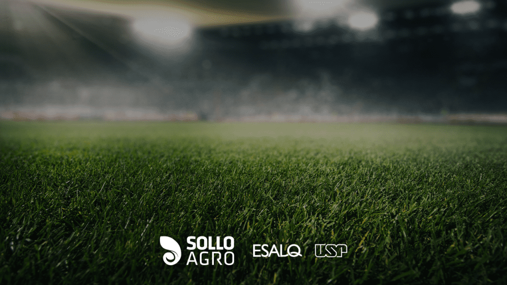Imagem: Quem prepara o gramado antes do jogo?