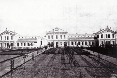 Imagem do artigo: ESALQ 125 anos: formação, ciência e extensão no agro (2)
