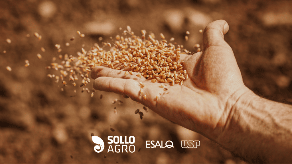 Artigo do blog SolloAgro