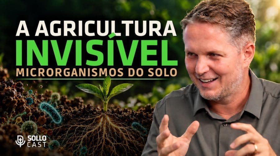 Imagem da notícia: A Agricultura Invisível: Microrganismos do Solo